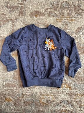 Bluey Little Sleepies Crewneck sweatshirt 2t